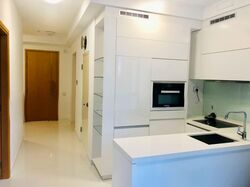 Onze @ Tanjong Pagar (D2), Apartment #556687251
